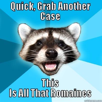 QUICK, GRAB ANOTHER CASE THIS IS ALL THAT ROMAINES Lame Pun Coon
