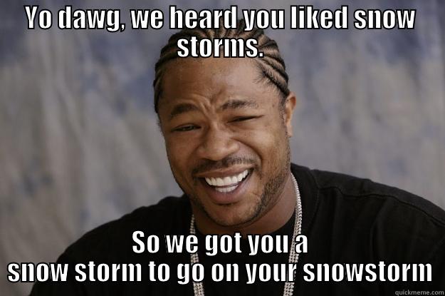 YO DAWG, WE HEARD YOU LIKED SNOW STORMS. SO WE GOT YOU A SNOW STORM TO GO ON YOUR SNOWSTORM Xzibit meme