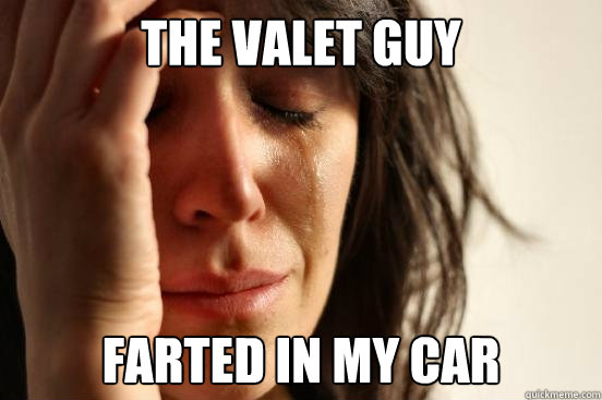 The valet guy farted in my car  First World Problems