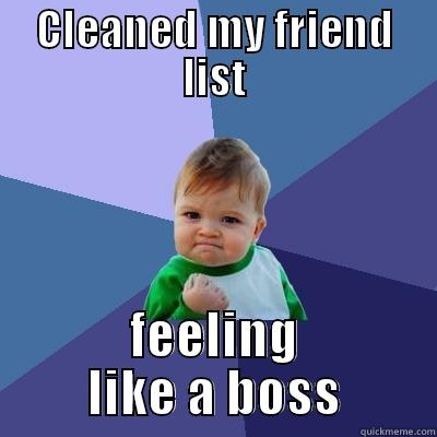 CLEANED MY FRIEND LIST FEELING LIKE A BOSS Success Kid