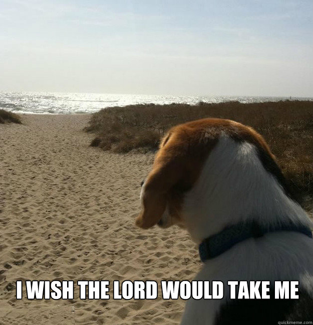 I wish the Lord would take me  
