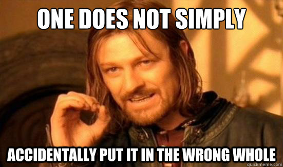 One Does Not Simply Accidentally put it in the wrong whole   Boromir