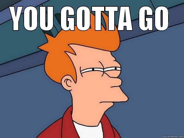 YOU GOTTA GO  Futurama Fry