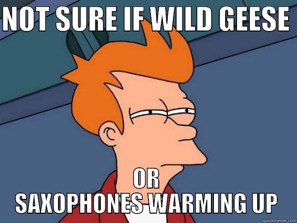 NOT SURE IF WILD GEESE  OR SAXOPHONES WARMING UP Futurama Fry