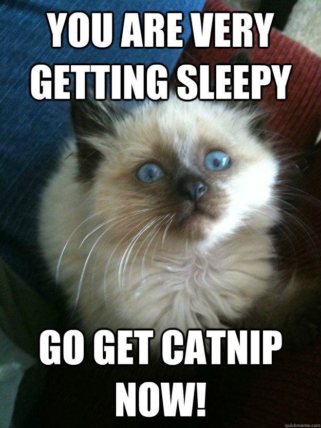 You Are Very Getting Sleepy go get catnip now!  Hypno-Kitty