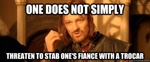 One does not simply Threaten to stab one's fiance with a trocar  One Does Not Simply