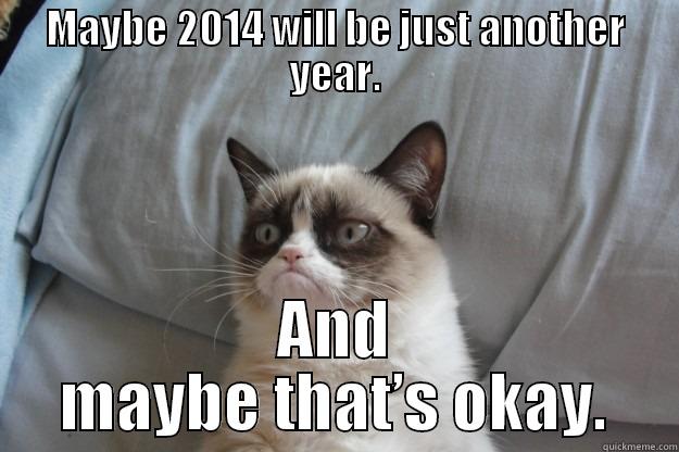 MAYBE 2014 WILL BE JUST ANOTHER YEAR. AND MAYBE THAT’S OKAY. Grumpy Cat
