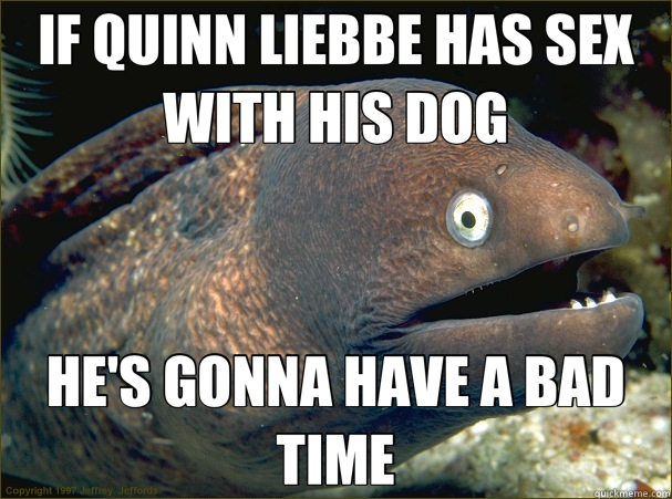 IF QUINN LIEBBE HAS SEX WITH HIS DOG HE'S GONNA HAVE A BAD TIME - IF QUINN LIEBBE HAS SEX WITH HIS DOG HE'S GONNA HAVE A BAD TIME  Bad Joke Eel