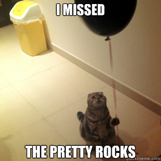 I missed  the pretty rocks - I missed  the pretty rocks  Sad Birthday Cat