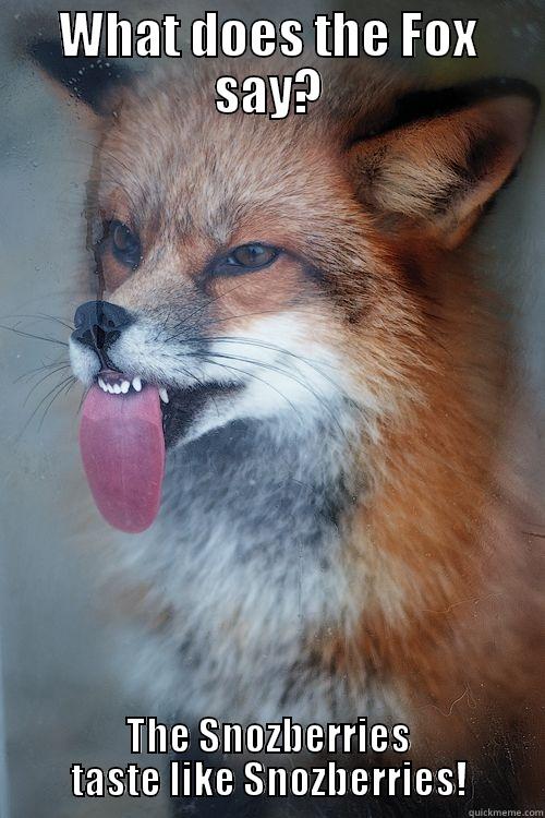 what does the fox say - WHAT DOES THE FOX SAY? THE SNOZBERRIES TASTE LIKE SNOZBERRIES! Misc