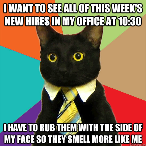 I want to see all of this week's new hires in my office at 10:30 I have to rub them with the side of my face so they smell more like me  Business Cat