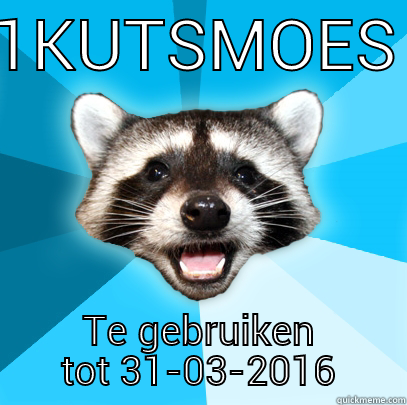 1KUTSMOES TE GEBRUIKEN TOT 31-03-2016 Lame Pun Coon