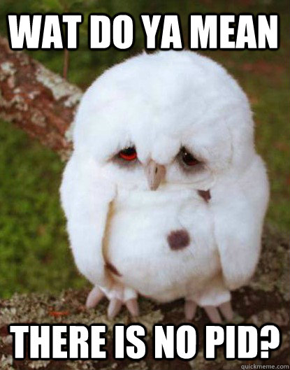 WAT DO YA MEAN THERE IS NO PID? - WAT DO YA MEAN THERE IS NO PID?  Depressed Baby Owl