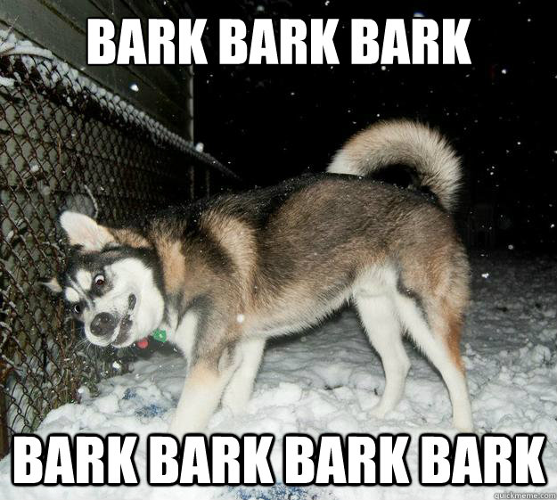 BARk bark bark bark bark bark bark  Sudden Clarity Canine