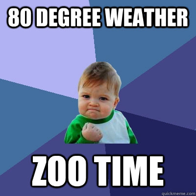 80 degree weather zoo time  Success Kid