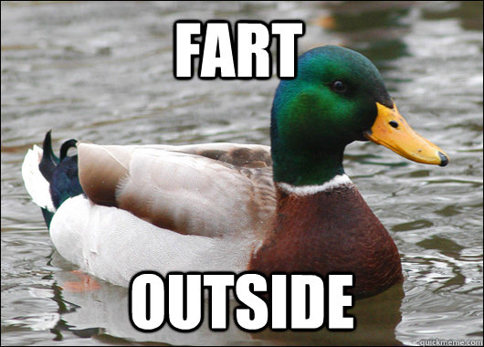 Fart Outside  Actual Advice Mallard