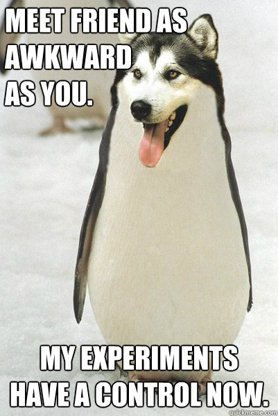 Meet friend as awkward 
as you. MY EXPERIMENTS HAVE A CONTROL NOW.  Courageously Awkward Wolf