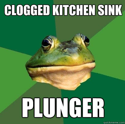 Clogged Kitchen Sink Plunger  Foul Bachelor Frog