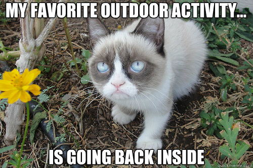 my favorite outdoor activity... is going back inside - my favorite outdoor activity... is going back inside  gRUMPY CAT FLOWER