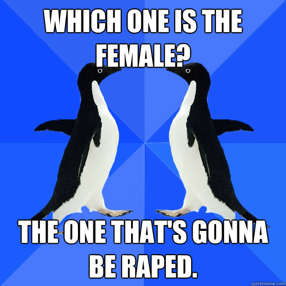 which one is the female? The one that's gonna be raped.  Dancing penguins