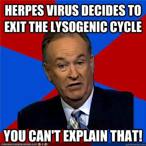 Herpes virus decides to exit the lysogenic cycle You can't explain that!  Bill OReilly