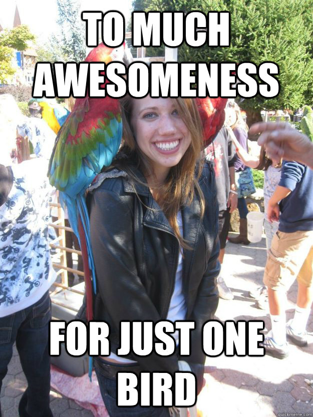 To much awesomeness  For just one bird - To much awesomeness  For just one bird  brooke  meme