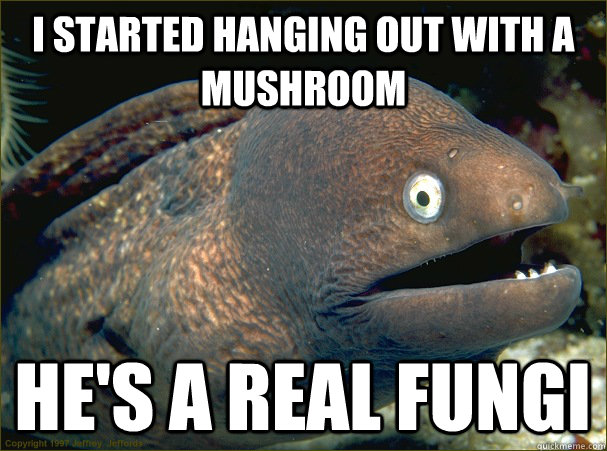 I started hanging out with a mushroom He's a real fungi  Bad Joke Eel