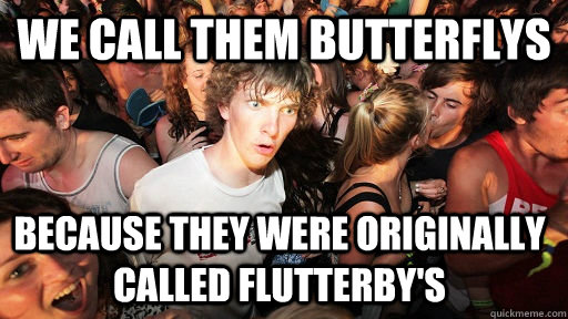 We call them butterflys because they were originally called flutterby's  Sudden Clarity Clarence