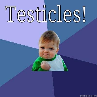 TESTICLES!  Success Kid