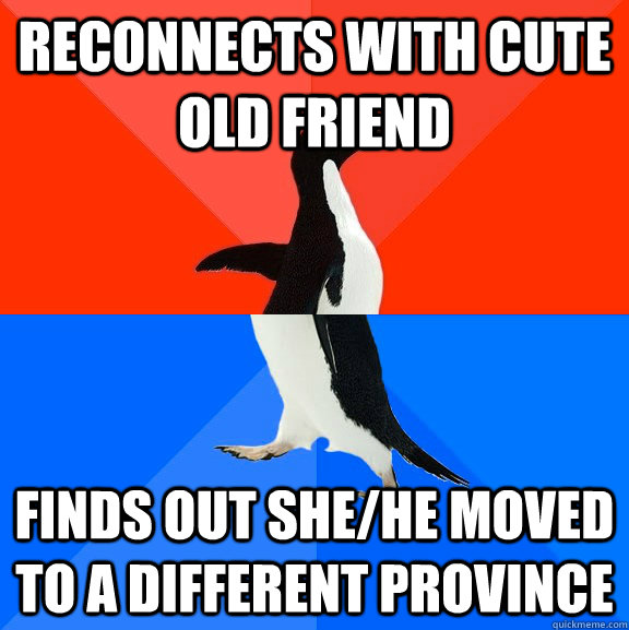 Reconnects with cute old friend finds out she/he moved to a different province  Socially Awesome Awkward Penguin