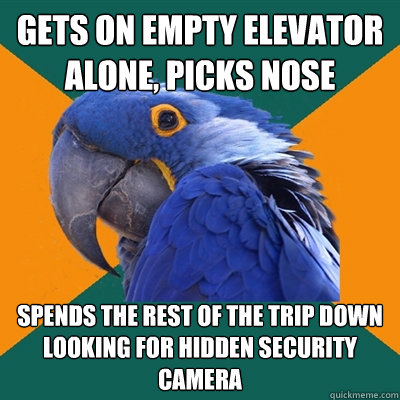 gets on empty elevator alone, picks nose spends the rest of the trip down looking for hidden security camera  Paranoid Parrot