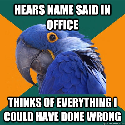 Hears name said in office Thinks of everything i could have done wrong  Paranoid Parrot
