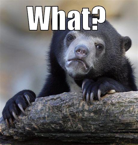 WHAT?  Confession Bear