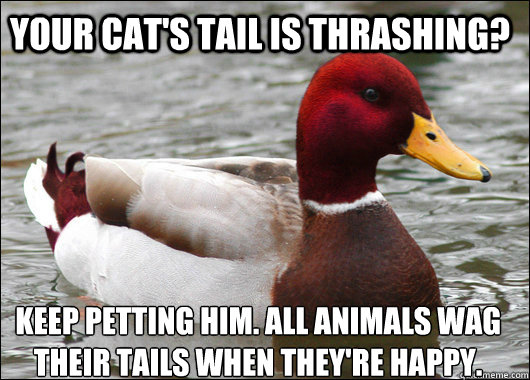 Your cat's tail is thrashing? keep petting him. all Animals wag their tails when they're happy.  Malicious Advice Mallard