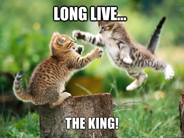 long live... the king!  cute kittens