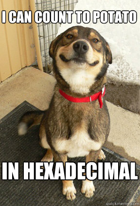 I Can Count to Potato
 in hexadecimal
  Good Dog Greg
