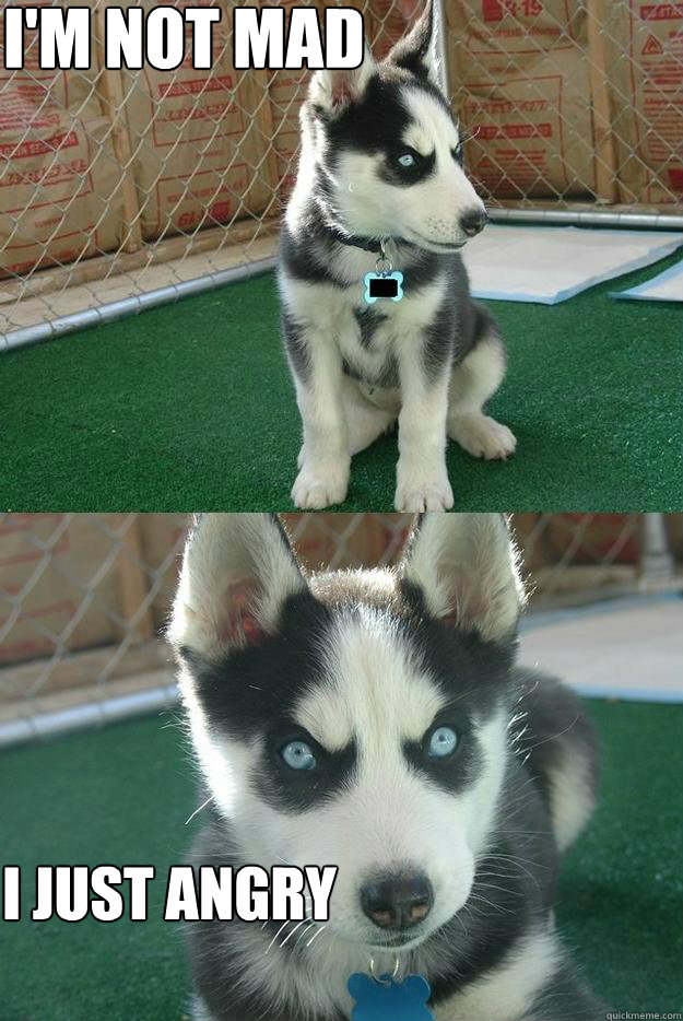 I'm NOT MAD I JUST ANGRY  Insanity puppy