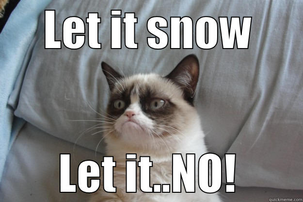 Grumpy Cat memes | quickmeme