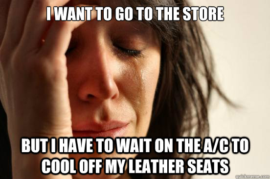 I want to go to the store But I have to wait on the a/c to cool off my leather seats  First World Problems