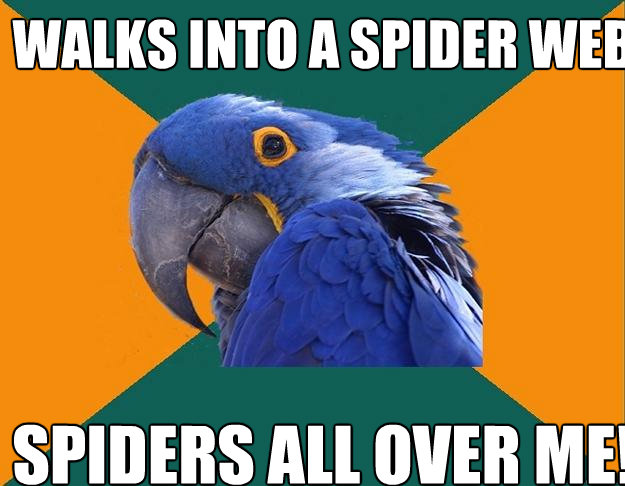 walks into a spider web spiders all over me!  Paranoid Parrot