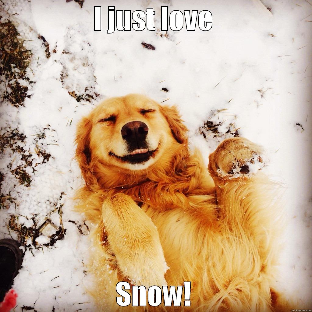 I JUST LOVE SNOW! Misc