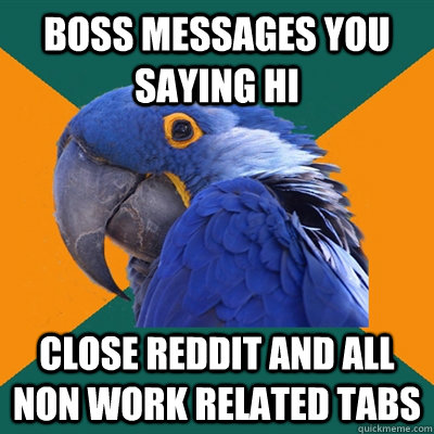 Boss messages you saying Hi Close Reddit and all non work related tabs  Paranoid Parrot