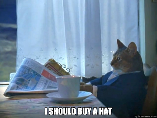  i should buy a hat -  i should buy a hat  The One Percent Cat