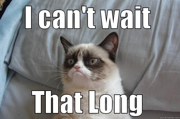 No Patience Cat - I CAN'T WAIT THAT LONG Grumpy Cat