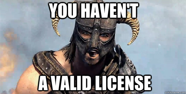You haven't a valid license  skyrim