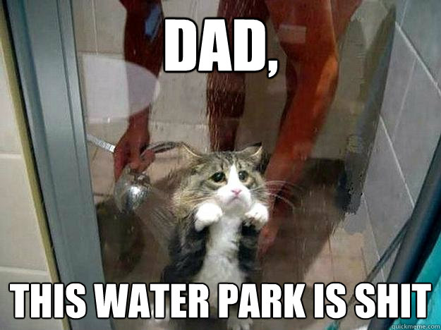 dad, this water park is shit - dad, this water park is shit  Shower kitty