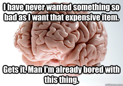 I have never wanted something so bad as I want that expensive item. Gets it. Man I'm already bored with this thing. - I have never wanted something so bad as I want that expensive item. Gets it. Man I'm already bored with this thing.  Scumbag Brain