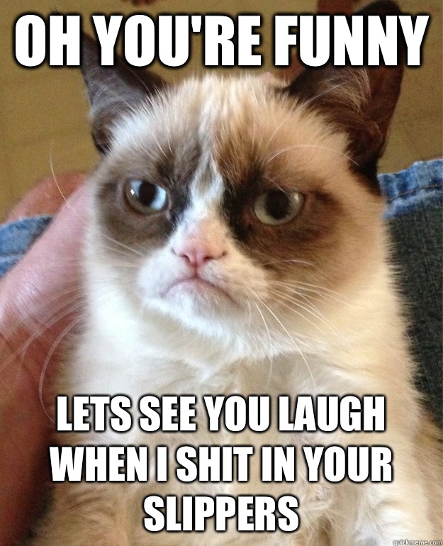 Oh you're funny Lets see you laugh when I shit in your slippers  grump