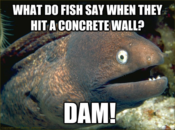 What Do Fish Say When They Hit A Concrete Wall?  Dam!  Bad Joke Eel
