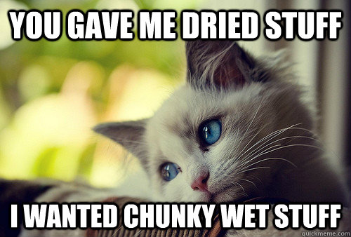 you gave me dried stuff i wanted chunky wet stuff  First World Problems Cat